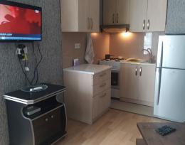 საათობით, დღიურად 20-ლარი მ.წერეთელთან