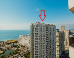 მაკდონალდსთან. თავისუფალია!!  ერთი დღით 50 ლარი