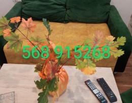 ფასდაკლება!ქირავდება დღიურად ახმეტელის მეტროსთან